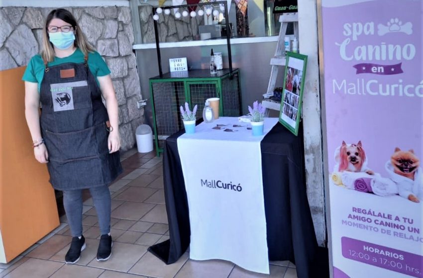  “Adopta un amigo” en Mall Curicó:  En un nuevo horario este domingo se realiza la primera jornada de adopción del año