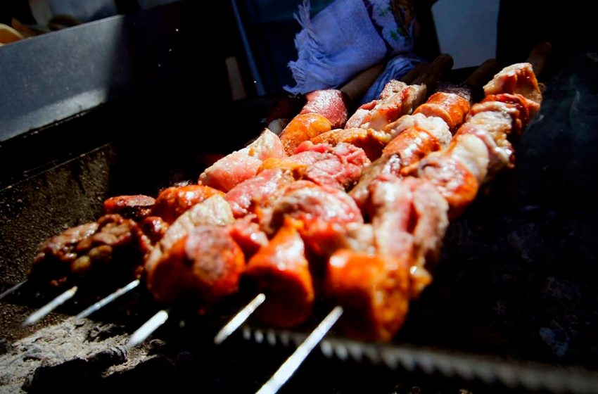  Concejala denuncia que mujer tragó chip de perro al comer anticucho de la calle en Estación Central